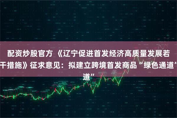 配资炒股官方 《辽宁促进首发经济高质量发展若干措施》征求意见：拟建立跨境首发商品“绿色通道”