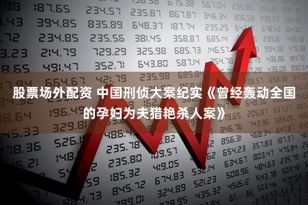 股票场外配资 中国刑侦大案纪实《曾经轰动全国的孕妇为夫猎艳杀人案》